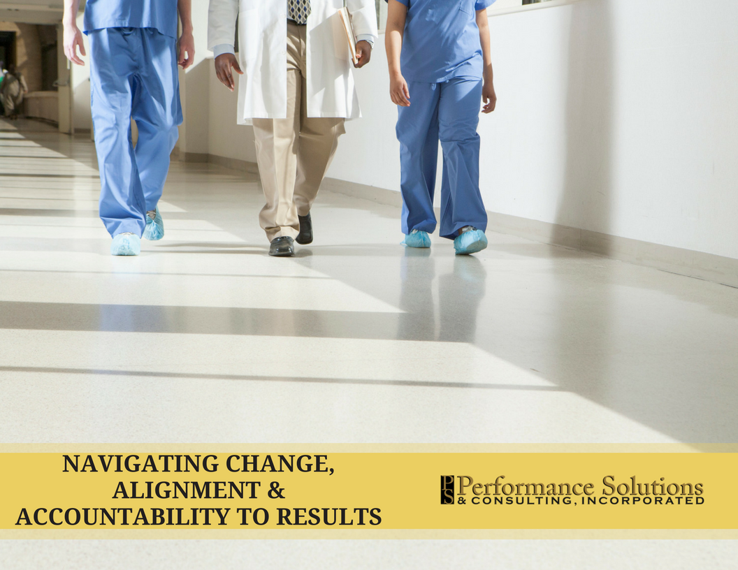 Performance Solutions Case Study - Navigating Change, Alignment & Accountability to Results